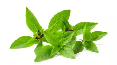 garnishing-instructions-image